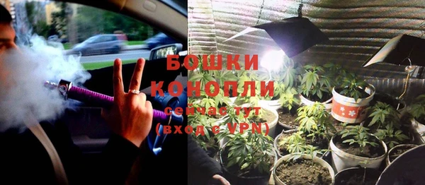 стаф Каменногорск