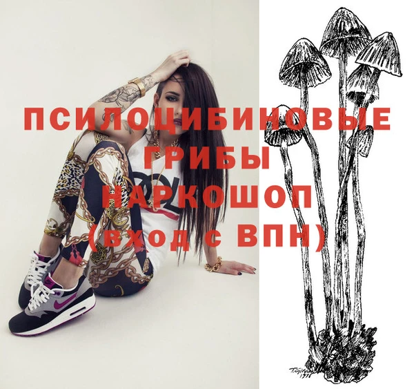 стаф Каменногорск