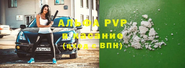 стаф Каменногорск