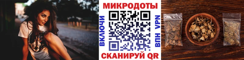 Купить  Очёр  Галлюциногенные грибы Psilocybine cubensis 